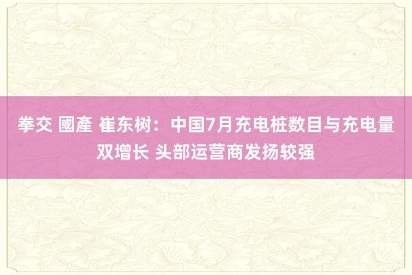 拳交 國產 崔东树：中国7月充电桩数目与充电量双增长 头部运营商发扬较强