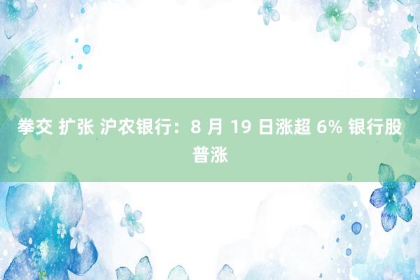 拳交 扩张 沪农银行：8 月 19 日涨超 6% 银行股普涨