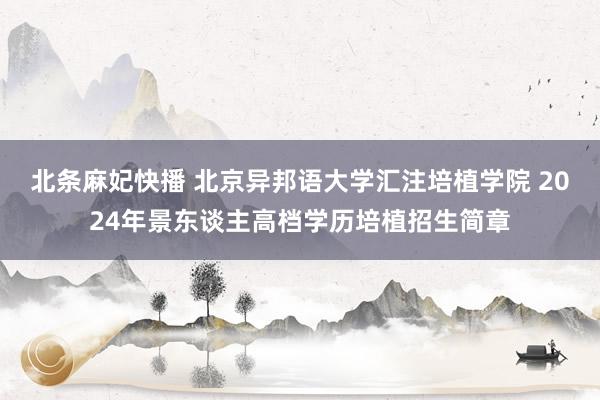 北条麻妃快播 北京异邦语大学汇注培植学院 2024年景东谈主高档学历培植招生简章